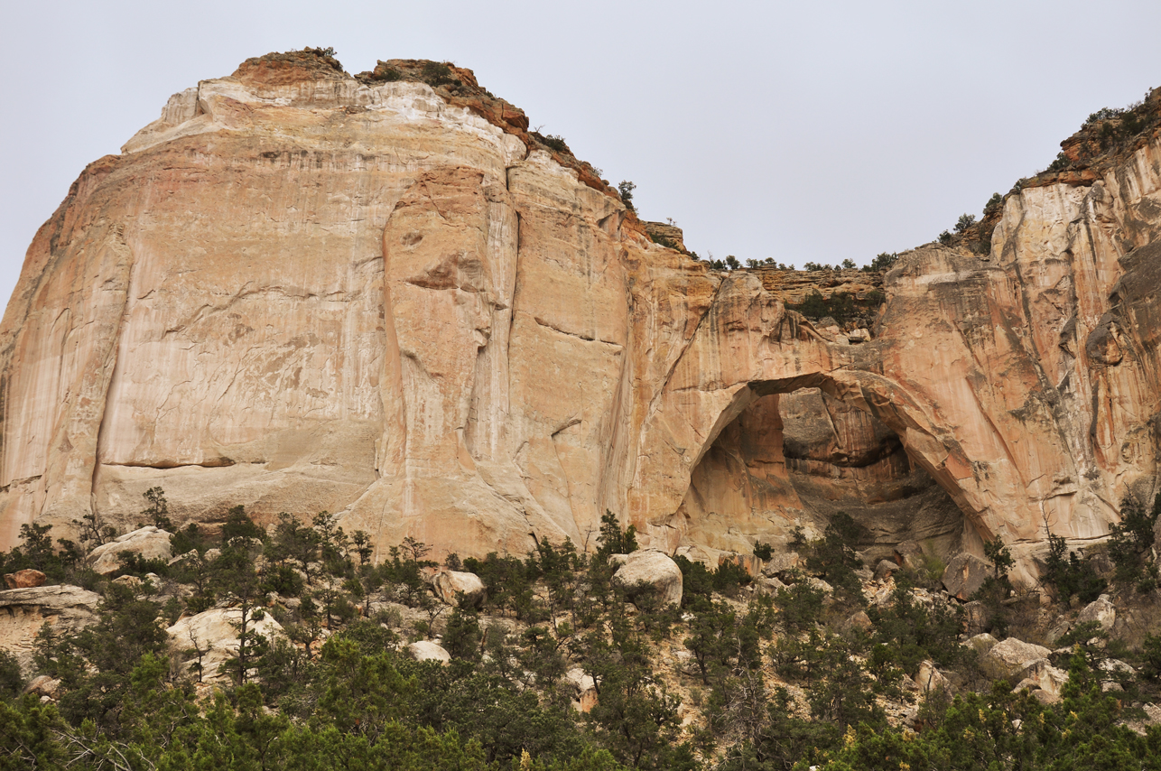La Ventana Natural Arch is one of NM’s largest – notice profile of face to left