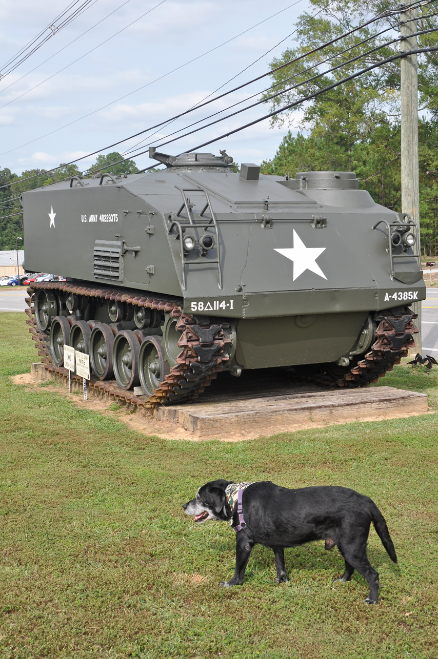 AAF Tank Museum, Dinville, VA