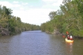 Kayakers, Buttonwood Canal