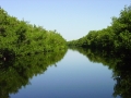 Buttonwood Canal