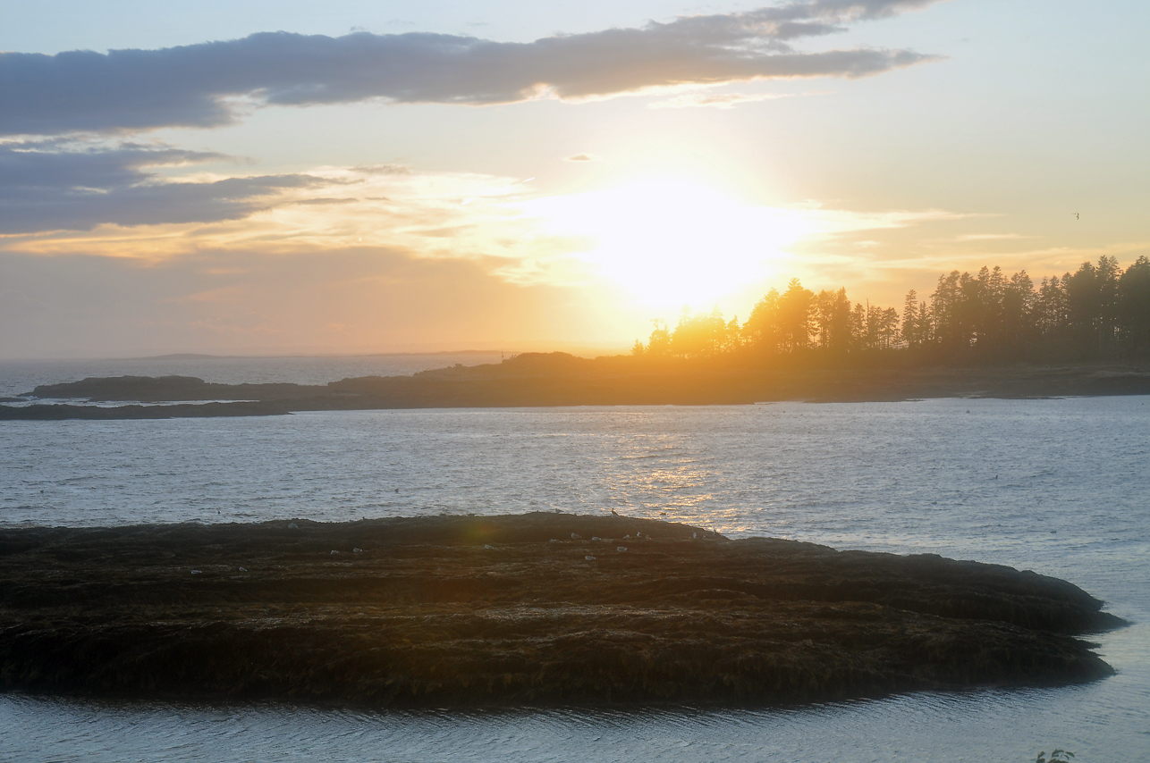 sunset over seaweed island
